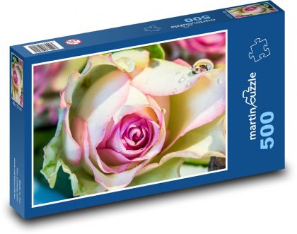 Květiny - Růže - Puzzle 500 dílků, rozměr 46x30 cm
