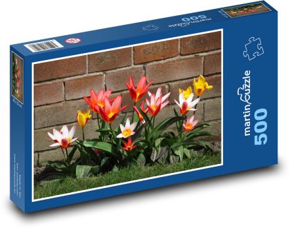 Tulipany przy ceglanej ścianie - Puzzle 500 elementów, rozmiar 46x30 cm