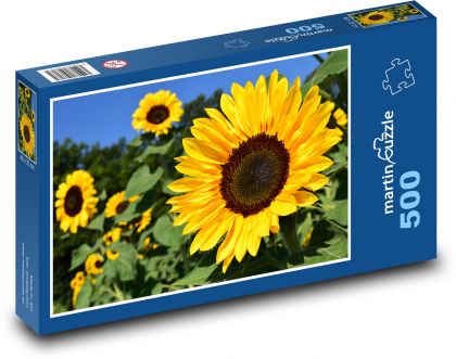 Sonnenblumenfeld - Puzzle - 500 Teile
