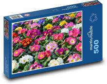 Colorful primrose flowers Puzzle of 500 pieces - 46 x 30 cm 