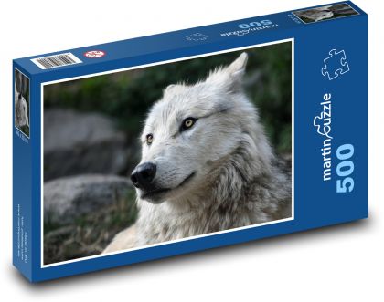 White Wolf Portrait - Puzzle of 500 pieces, size 46x30 cm 