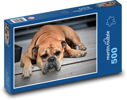 Dog - The Continental Bulldog - Puzzle of 500 pieces, size 46x30 cm 
