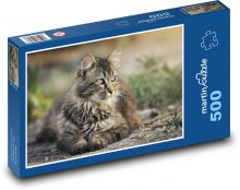 Kot Puzzle 500 elementów - 46x30 cm