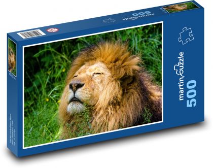 Afrikanischer Löwe schläft im Gras - Puzzle - 500 Teile