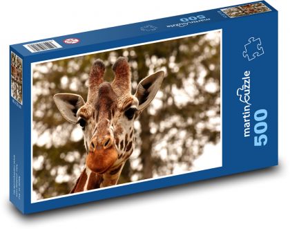 Giraffe with big eyes - Puzzle of 500 pieces, size 46x30 cm 