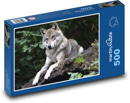 Vlk - zvíře - Puzzle 500 dílků, rozměr 46x30 cm
