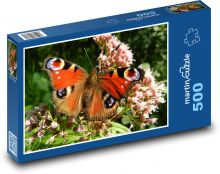 Motýľ babočka pávie oko na kvetine Puzzle 500 dielikov - 46 x 30 cm 
