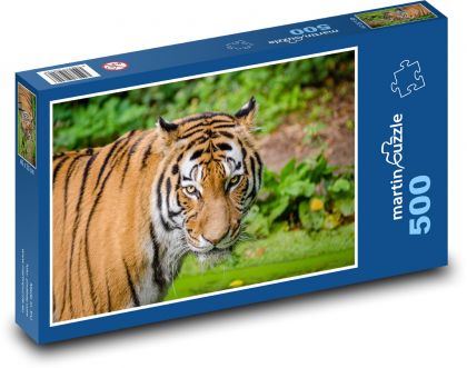 Tygr - zvíře - Puzzle 500 dílků, rozměr 46x30 cm