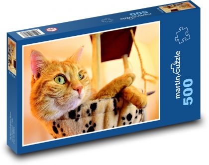 Roztomilá ryšavá mačka - Puzzle 500 dielikov, rozmer 46x30 cm 