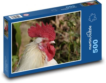 Bílý kohout - puzzle 500 dílků