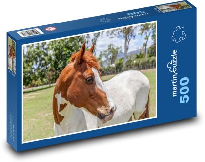 Strakatý kůň na pastvině, pinto - puzzle 500 dílků