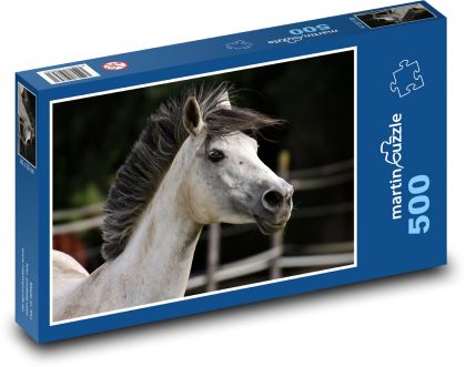 Elegantes weißes Pferd, Kopfdetail - Puzzle - 500 Teile
