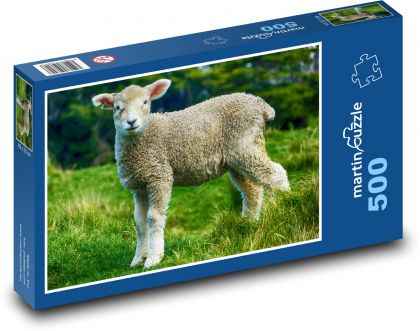 Kleines Lamm auf der Weide - Puzzle - 500 Teile