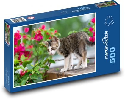 Mourovaté kotě na stole - puzzle 500 dílků