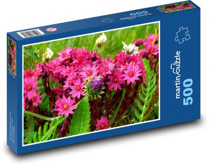 Rakousko - Horské květiny - Puzzle 500 dílků, rozměr 46x30 cm