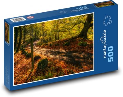 Příroda, podzim, cesta - Puzzle 500 dílků, rozměr 46x30 cm