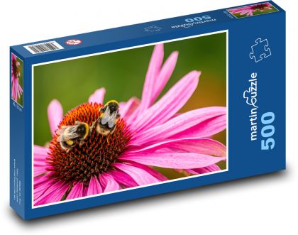 Čmeláci na růžové květině - puzzle 500 dílků