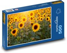 Slunečnicové pole Puzzle 500 dílků - 46 x 30 cm