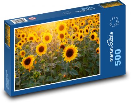 Slunečnicové pole - Puzzle 500 dílků, rozměr 46x30 cm