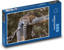 Zwierzę - bestia, Jaguar Puzzle 500 elementów - 46x30 cm