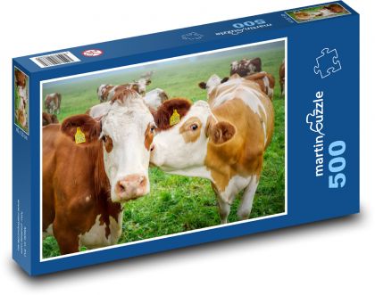 Gefleckte Kühe auf der Weide - Puzzle - 500 Teile