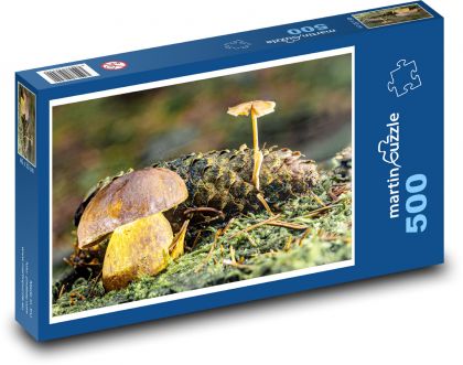Příroda - houby - Puzzle 500 dílků, rozměr 46x30 cm