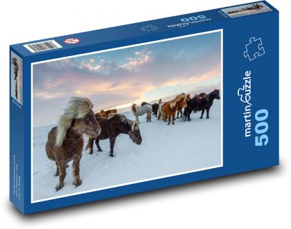 Isländische Pferdeherden - Puzzle - 500 Teile