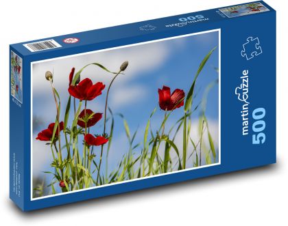 Rudé vlčí máky - puzzle 500 dílků