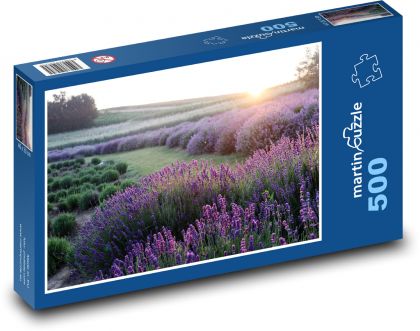 Pole lawendy o zachodzie słońca - Puzzle 500 elementów, rozmiar 46x30 cm
