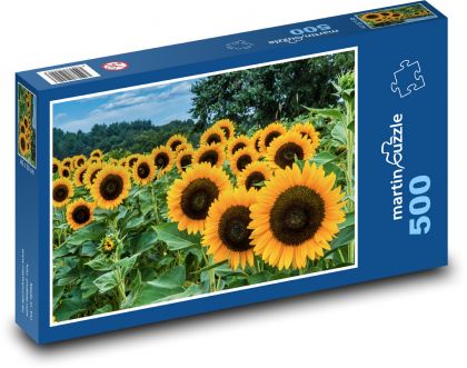 slnečnicové pole - Puzzle 500 dielikov, rozmer 46x30 cm 