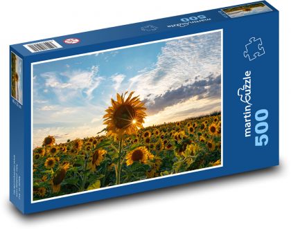 Sonnenblumen bei Sonnenuntergang - Puzzle - 500 Teile