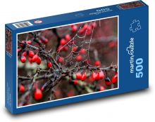 Podzim, šípky Puzzle 500 dílků - 46 x 30 cm