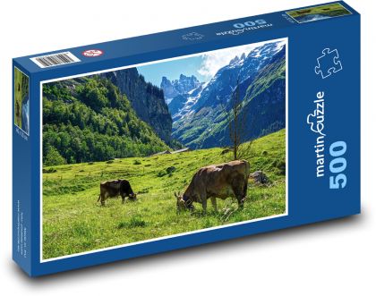 Bergwiese mit weidenden Kühen - Puzzle - 500 Teile