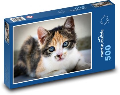 Kotě, kočka domácí - Puzzle 500 dílků, rozměr 46x30 cm