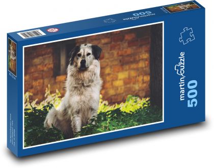Pies - Puzzle 500 elementów, rozmiar 46x30 cm
