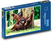 Orangutan Puzzle 500 dílků - 46 x 30 cm