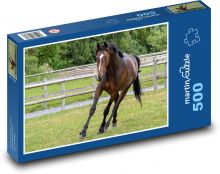 Kůň Puzzle 500 - 46x30 cm