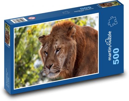 Lev - puzzle 500 dílků