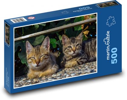 Koty - Puzzle 500 elementów, rozmiar 46x30 cm