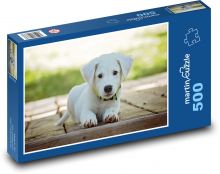 Šteňa na terase Puzzle 500 dielikov - 46 x 30 cm