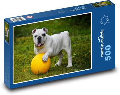 Pes, buldog s míčem - puzzle 500 dílků