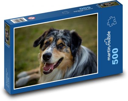 Pes - Australský Ovčák - Puzzle 500 dílků, rozměr 46x30 cm