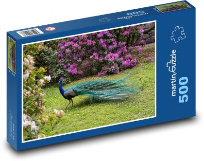 Pfau im Park - Puzzle - 500 Teile