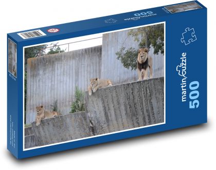 Zoo - lwy - Puzzle 500 elementów, rozmiar 46x30 cm