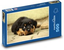Rottweiler - štěně  Puzzle 500 dílků - 46 x 30 cm