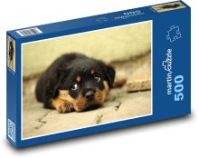 Rottweiler - šteňa Puzzle 500 dielikov - 46 x 30 cm