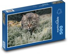 Kot domowy Puzzle 500 elementów - 46x30 cm