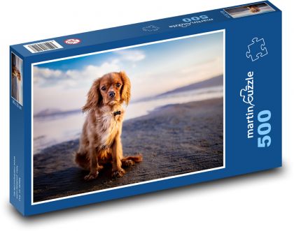 Pies, plaża - Puzzle 500 elementów, rozmiar 46x30 cm