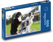 Border Collie Puzzle of 500 pieces - 46 x 30 cm 