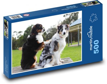 Border Collie - Puzzle of 500 pieces, size 46x30 cm 